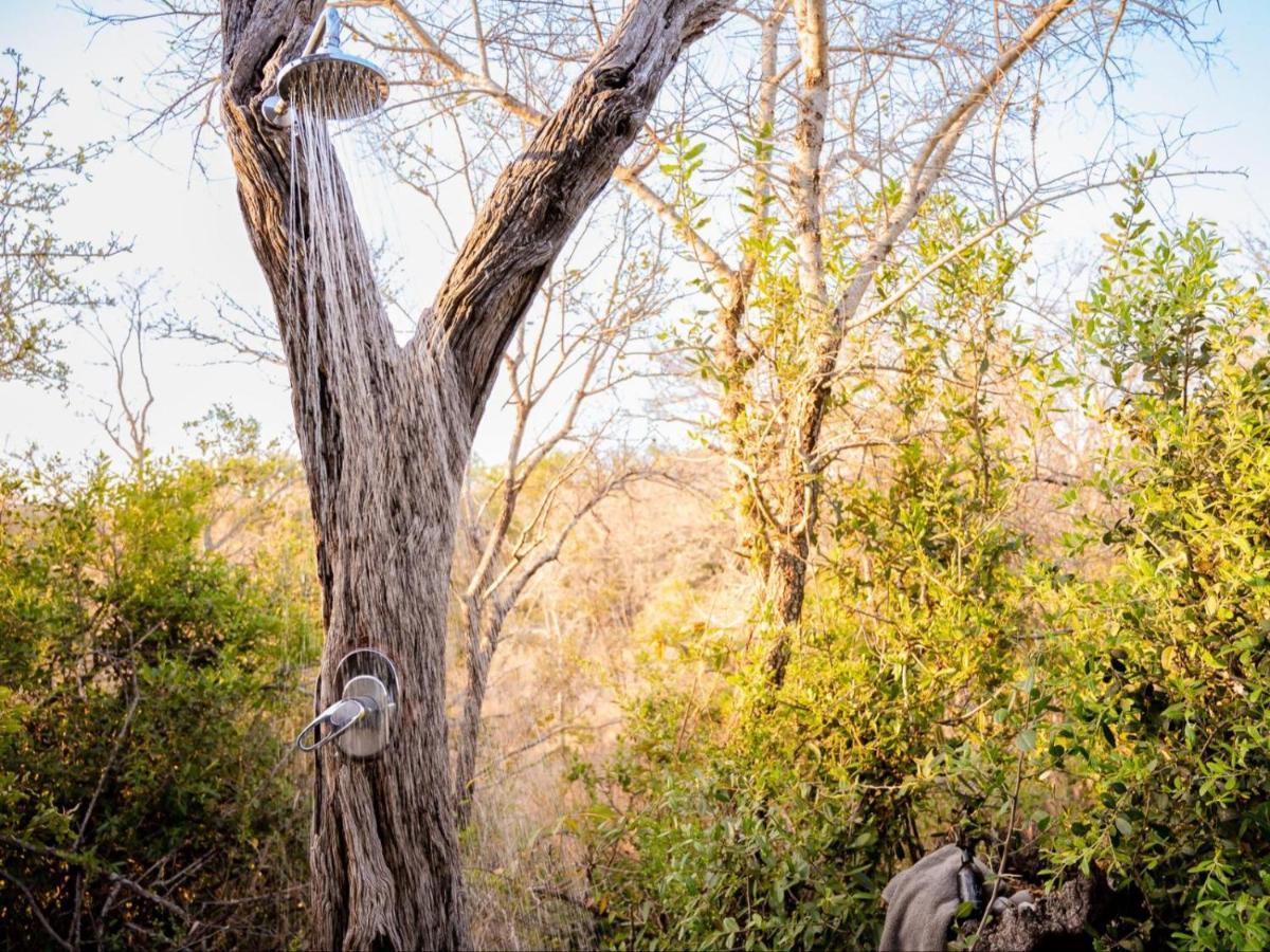 Shimungwe Lodge, Thornybush Game Reserve Hoedspruit Exterior photo
